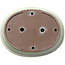 Pot ovale beige pour bonsaï - 473 x 372 x 80 mm