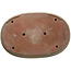 Maceta ovalada beige para bonsái de Shuhou - 732 x 483 x 80 mm