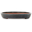 Ovaler blauer Bonsaitopf von Seizan (Reihou, Kataoka Katsushi, Meister Seizan-Ofen) – 605 x 385 x 60 mm