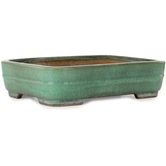 Maceta rectangular verde para bonsái de Yamafusa - 376 x 285 x 100 mm
