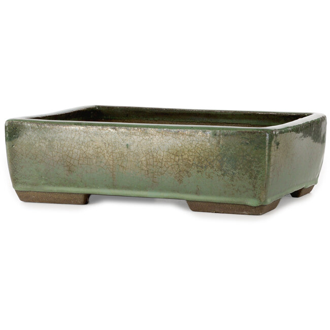 Rechthoekige groene bonsaipot van Seizan (Reihou, Kataoka Katsushi, meester Seizan oven) - 330 x 250 x 97 mm