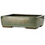 Vaso bonsai rettangolare verde di Seizan (Reihou, Kataoka Katsushi, forno del maestro Seizan) - 330 x 250 x 97 mm