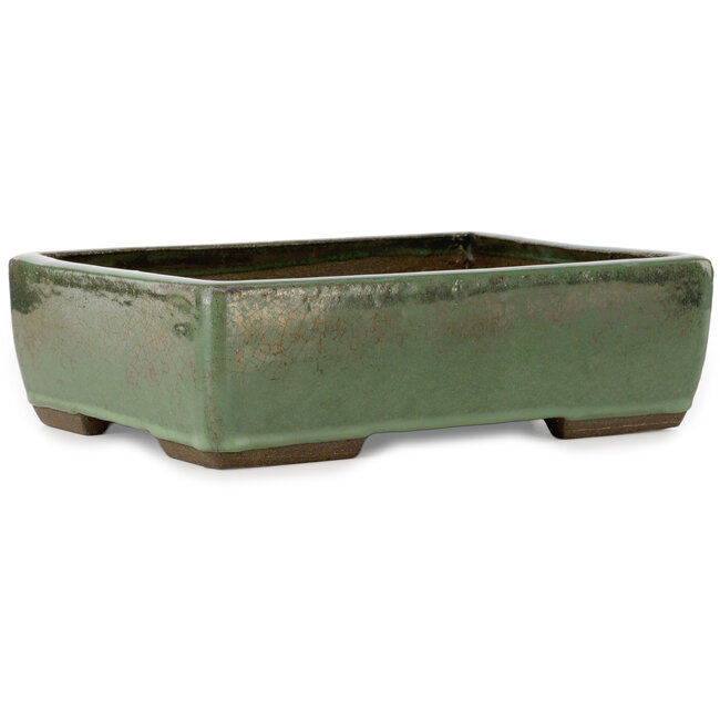 Maceta rectangular para bonsái verde de Seizan (Reihou, Kataoka Katsushi, maestro del horno Seizan) - 330 x 250 x 97 mm