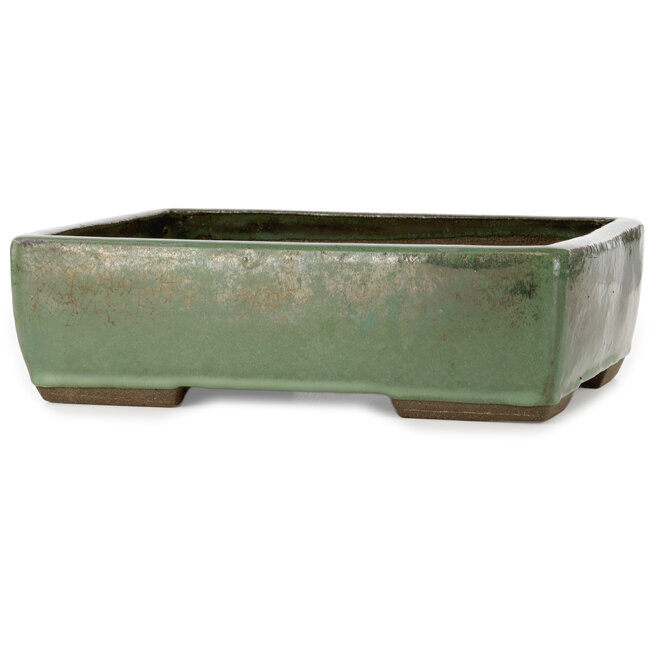 Vaso bonsai rettangolare verde di Seizan (Reihou, Kataoka Katsushi, forno del maestro Seizan) - 330 x 250 x 97 mm