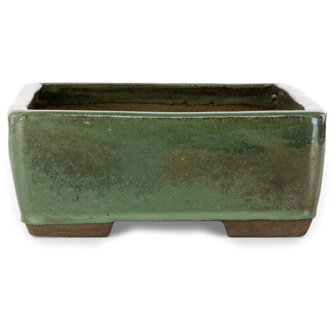 Vaso bonsai rettangolare verde di Seizan (Reihou, Kataoka Katsushi, forno del maestro Seizan) - 330 x 250 x 97 mm