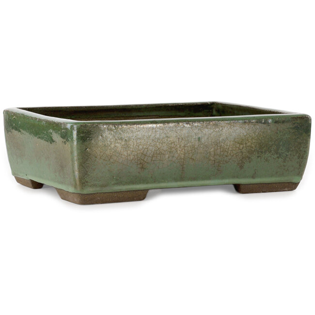 Rectangular green bonsai pot by Seizan (Reihou, Kataoka Katsushi, master Seizan kiln) - 330 x 250 x 97 mm