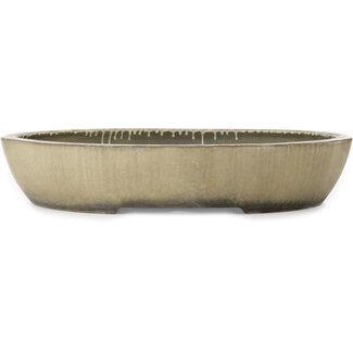 Koyou 545 mm oval off-white bonsai pot by Aiba Koyou, Tokoname, Japan