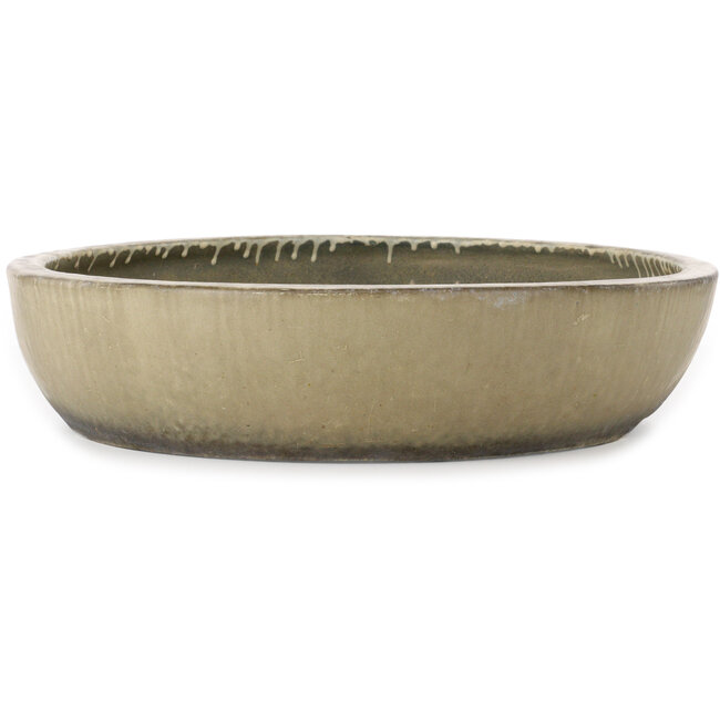 Vaso bonsai ovale bianco sporco di Aiba Koyou - 545 x 455 x 100 mm