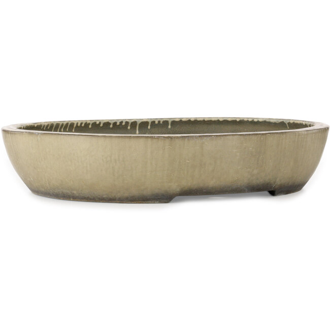 Oval off-white bonsai pot by Aiba Koyou - 545 x 455 x 100 mm