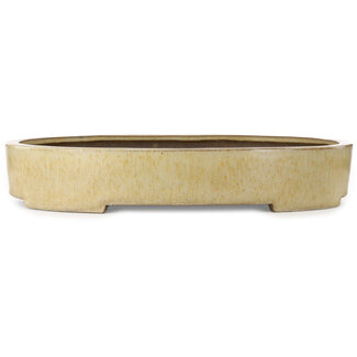 Haru Matsu Pot à bonsaï ovale beige de 620 mm, par Haru Matsu, Japon