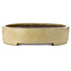 Oval beige bonsai pot by Haru Matsu - 620 x 456 x 105 mm