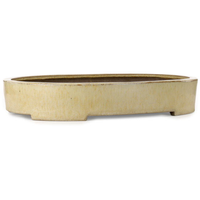 Maceta ovalada beige para bonsái de Haru Matsu - 620 x 456 x 105 mm