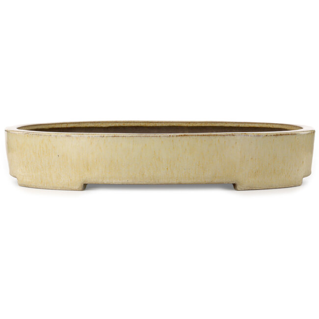 Oval beige bonsai pot by Haru Matsu - 620 x 456 x 105 mm