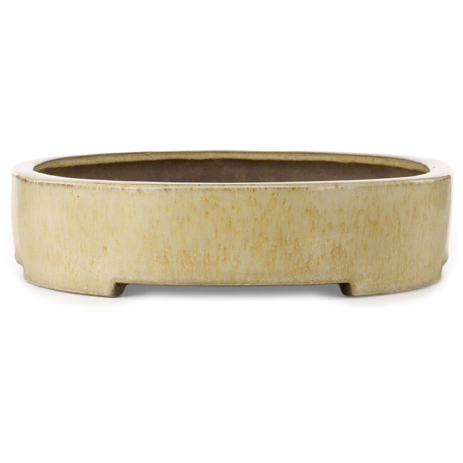 Pot à bonsaï ovale beige de Haru Matsu - 620 x 456 x 105 mm