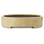Maceta ovalada beige para bonsái de Haru Matsu - 620 x 456 x 105 mm