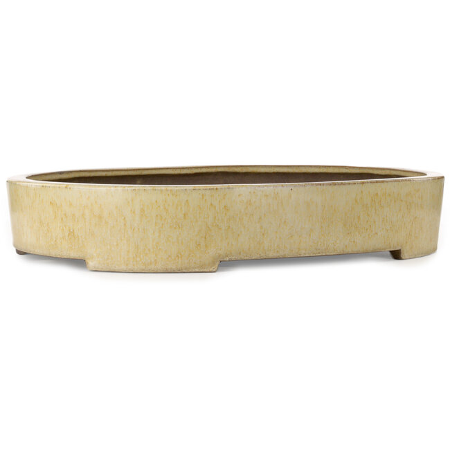 Vaso bonsai ovale beige di Haru Matsu - 620 x 456 x 105 mm