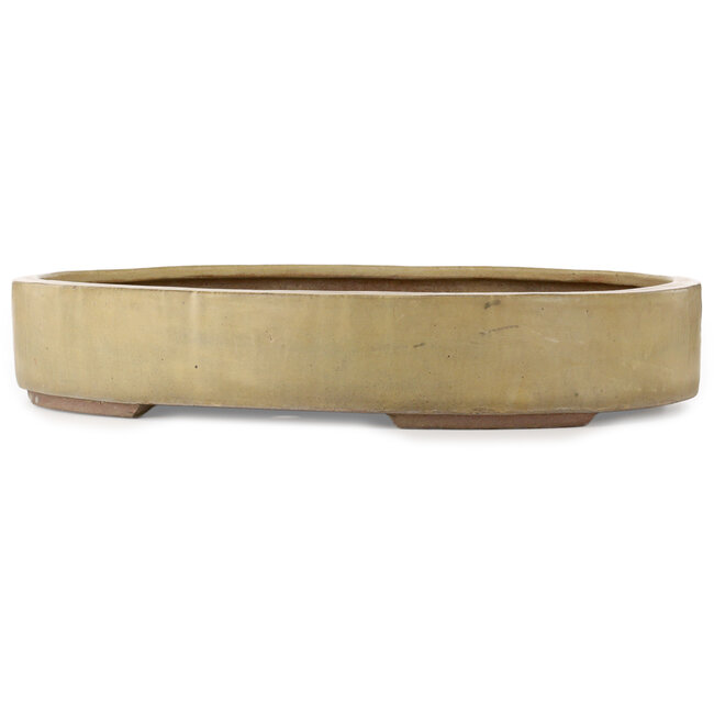 Pot à bonsaï ovale beige - 670 x 543 x 118 mm