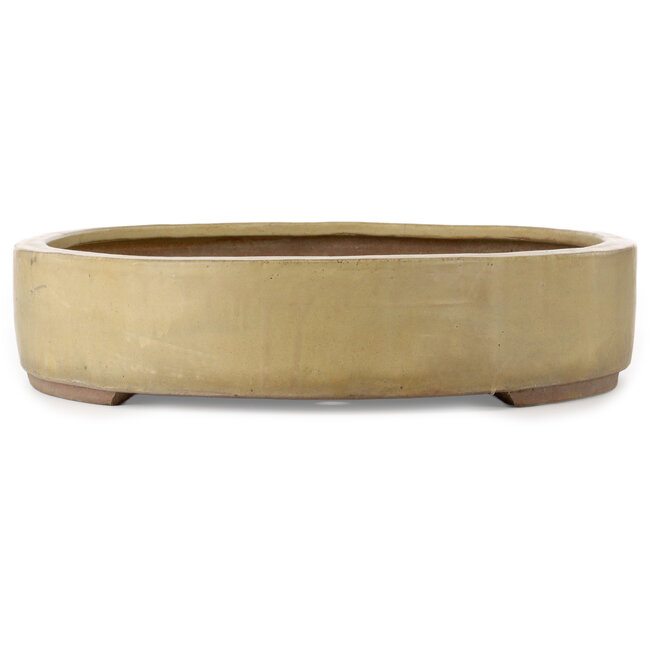 Pot à bonsaï ovale beige - 670 x 543 x 118 mm