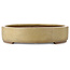 Vaso bonsai ovale beige - 670 x 543 x 118 mm