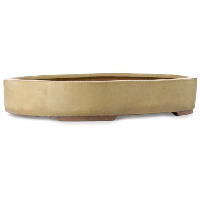 Vaso bonsai ovale beige - 670 x 543 x 118 mm