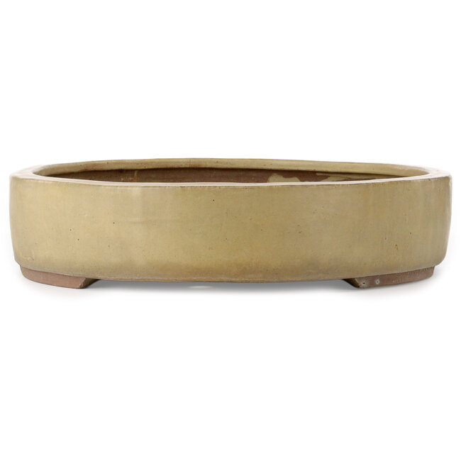 Vaso bonsai ovale beige - 670 x 543 x 118 mm