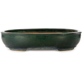  Shuuhou (Hidemi Kataoka) Pot à bonsaï vert ovale de 500 mm par Shuhou, Tokoname, Japon