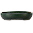 Maceta ovalada verde para bonsái de Shuhou - 500 x 415 x 100 mm