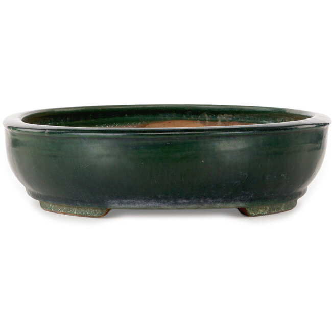 Oval green bonsai pot by Shuhou - 500 x 415 x 100 mm