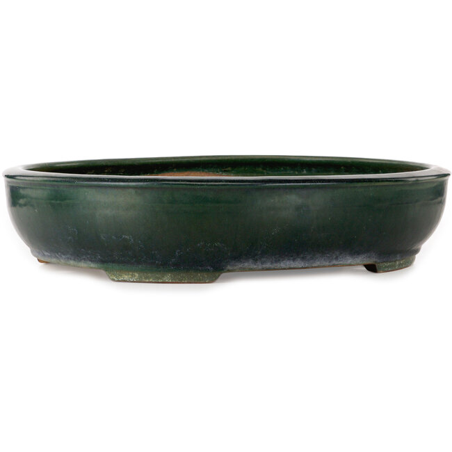 Oval green bonsai pot by Shuhou - 500 x 415 x 100 mm