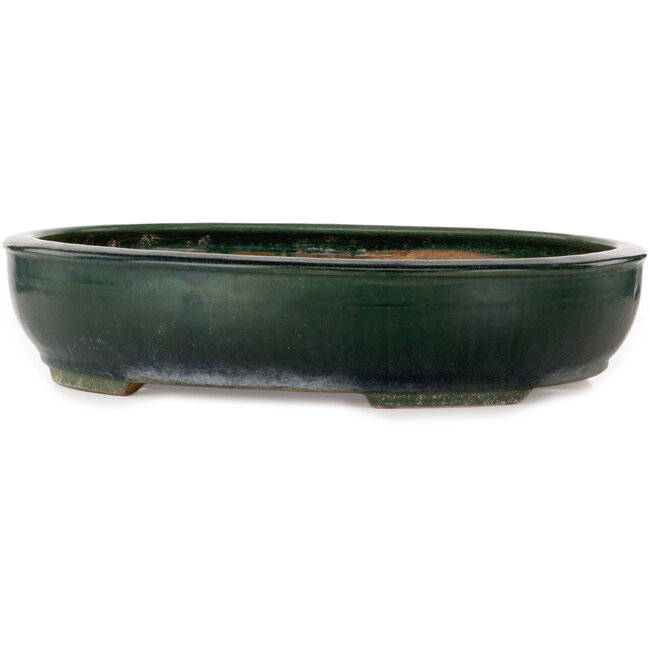 Maceta ovalada verde para bonsái de Shuhou - 500 x 415 x 100 mm