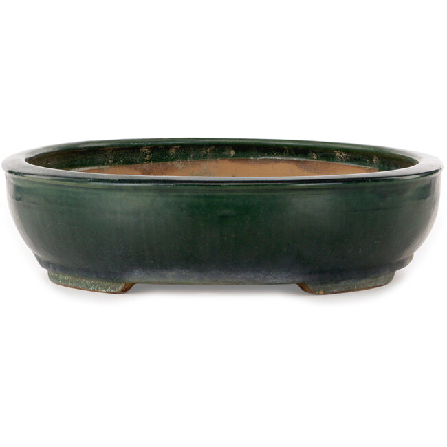 Oval green bonsai pot by Shuhou - 500 x 415 x 100 mm