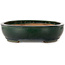 Maceta ovalada verde para bonsái de Shuhou - 500 x 415 x 100 mm