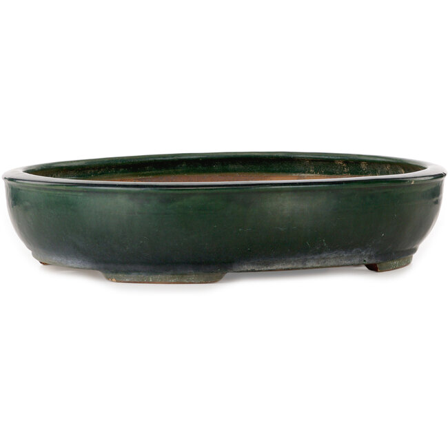 Maceta ovalada verde para bonsái de Shuhou - 500 x 415 x 100 mm