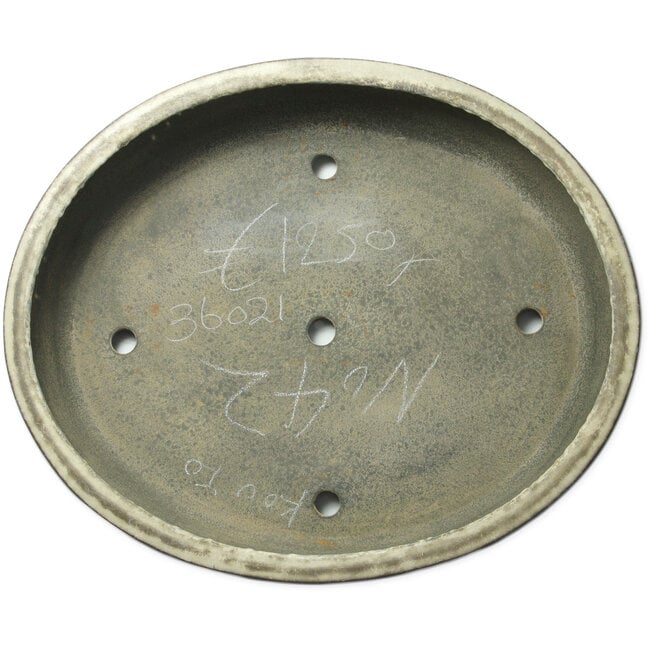 Pot à bonsaï ovale blanc cassé par Aiba Koyou - 545 x 455 x 100 mm