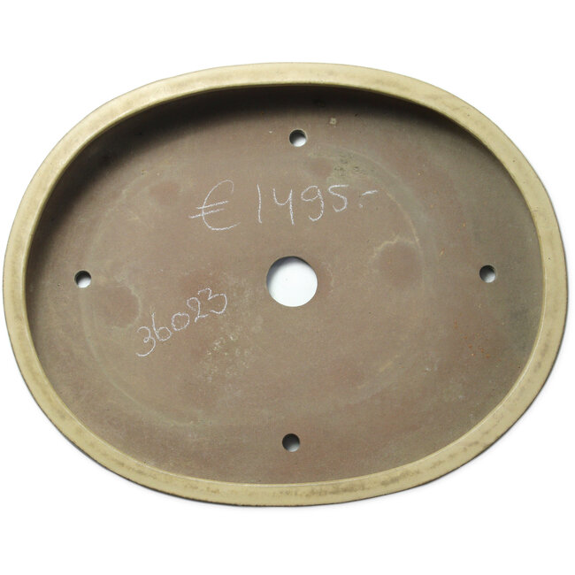 Maceta ovalada beige para bonsái - 670 x 543 x 118 mm