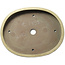 Vaso bonsai ovale beige - 670 x 543 x 118 mm