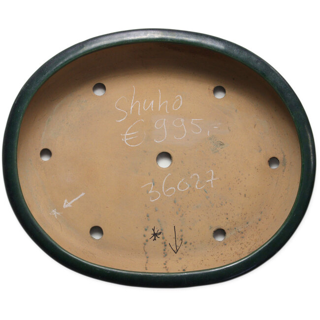 Oval green bonsai pot by Shuhou - 500 x 415 x 100 mm