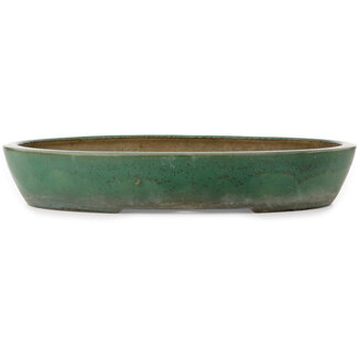 Koyo - Koichirou Aiba  494 mm oval green bonsai pot by Kouhou, Tokoname, Japan