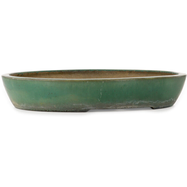 Ovale groene bonsaipot van Kouhou - 494 x 407 x 80 mm