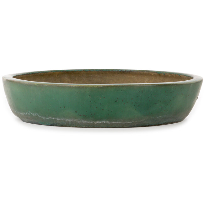 Oval green bonsai pot by Kouhou - 494 x 407 x 80 mm