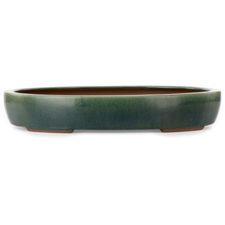  Yamaaki Maceta para bonsái verde ovalada de 455 mm de Yamaaki Toshio (tercera generación), Tokoname, Japón