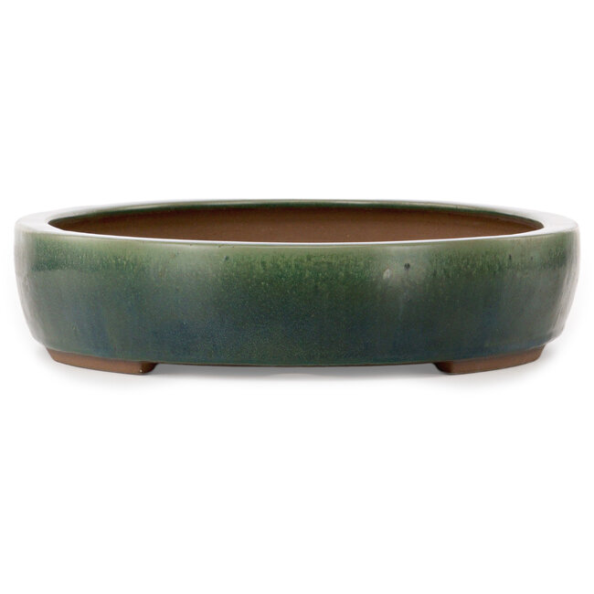 Maceta ovalada verde para bonsái de Yamaaki Toshio (tercera generación) - 455 x 340 x 75 mm