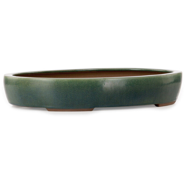 Maceta ovalada verde para bonsái de Yamaaki Toshio (tercera generación) - 455 x 340 x 75 mm