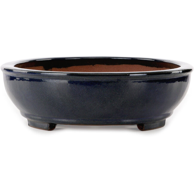 Ovaler blauer Bonsai-Topf von Kakuzan – 480 x 365 x 105 mm