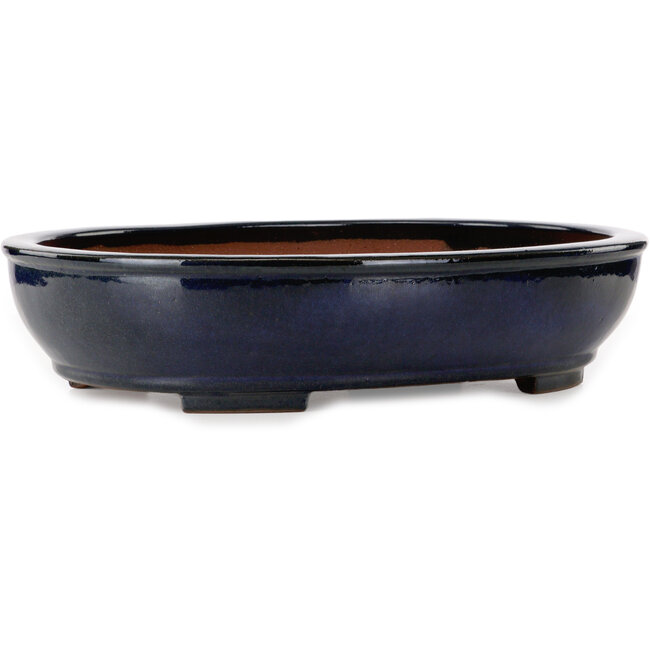 Oval blue bonsai pot by Kakuzan - 480 x 365 x 105 mm