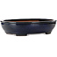 Vaso bonsai ovale blu di Kakuzan - 480 x 365 x 105 mm
