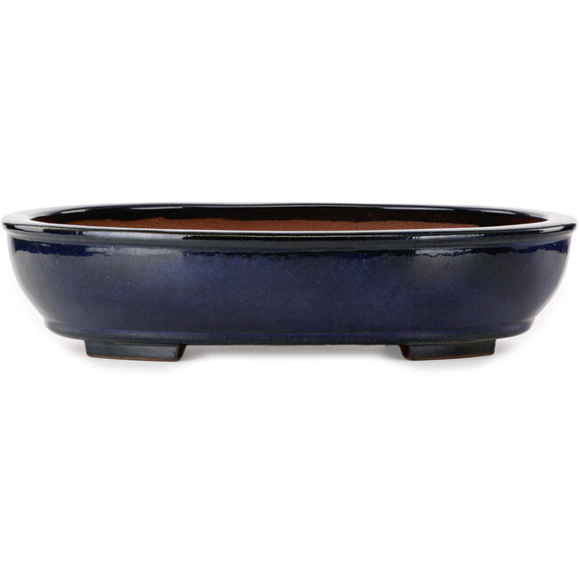 Ovale blauwe bonsaipot van Kakuzan - 480 x 365 x 105 mm