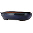 Maceta ovalada azul para bonsái de Kakuzan - 480 x 365 x 105 mm