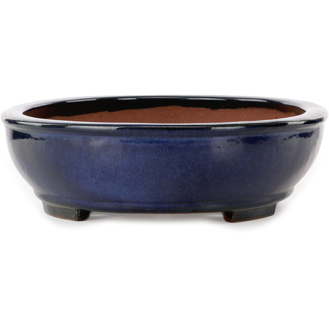 Oval blue bonsai pot by Kakuzan - 480 x 365 x 105 mm