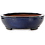 Maceta ovalada azul para bonsái de Kakuzan - 480 x 365 x 105 mm